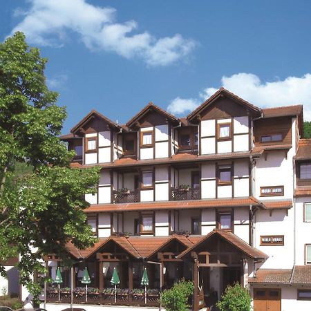 Hotel Blick Zum Maimont Ludwigswinkel Exterior foto