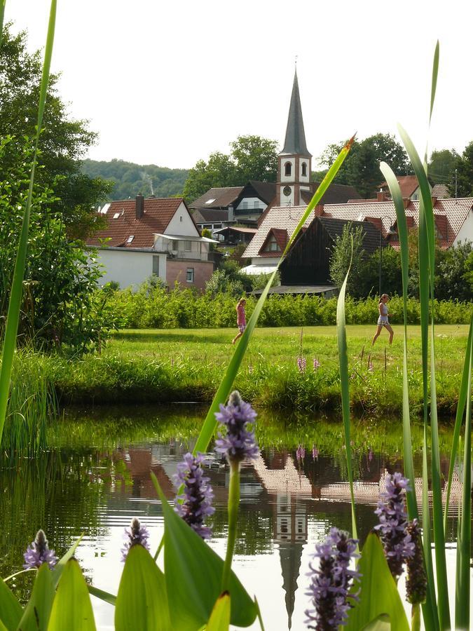 Hotel Blick Zum Maimont Ludwigswinkel Exterior foto