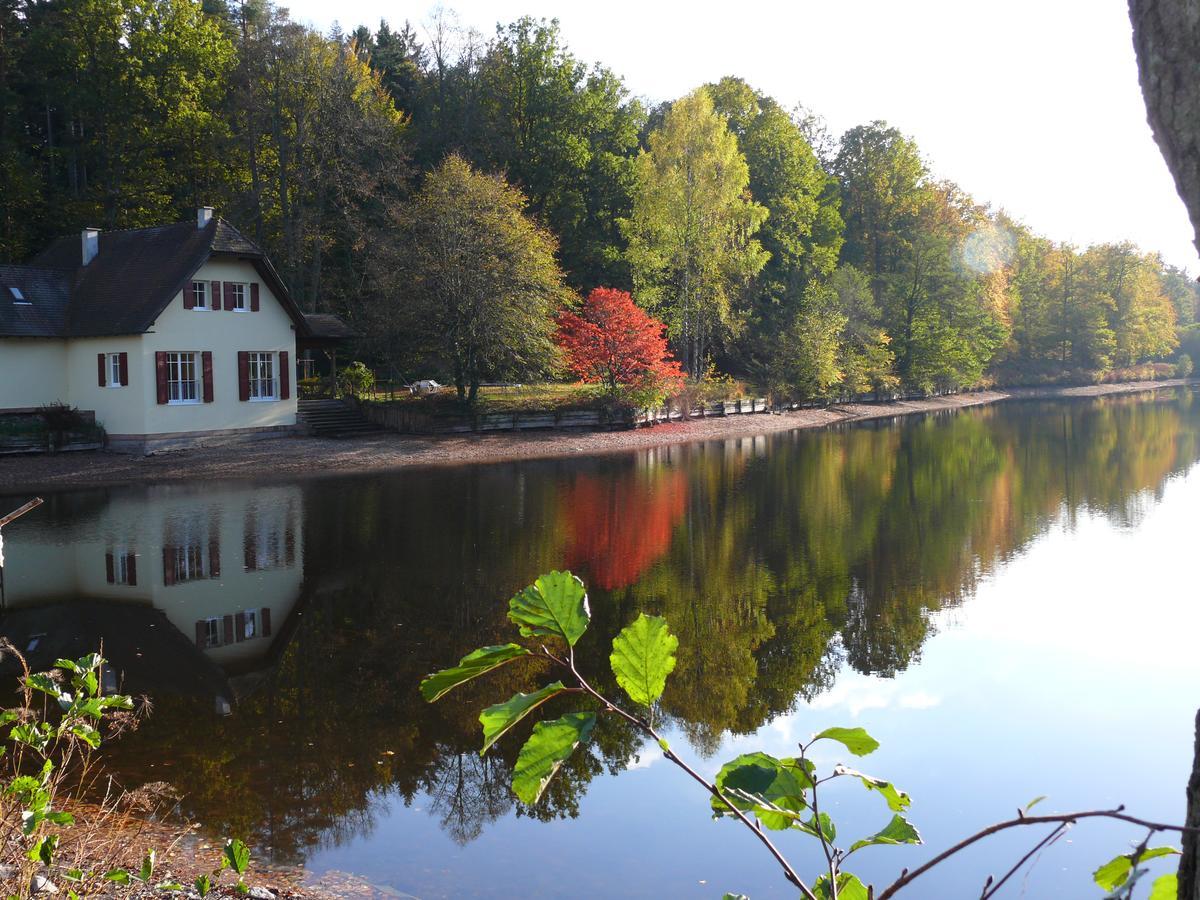 Hotel Blick Zum Maimont Ludwigswinkel Exterior foto