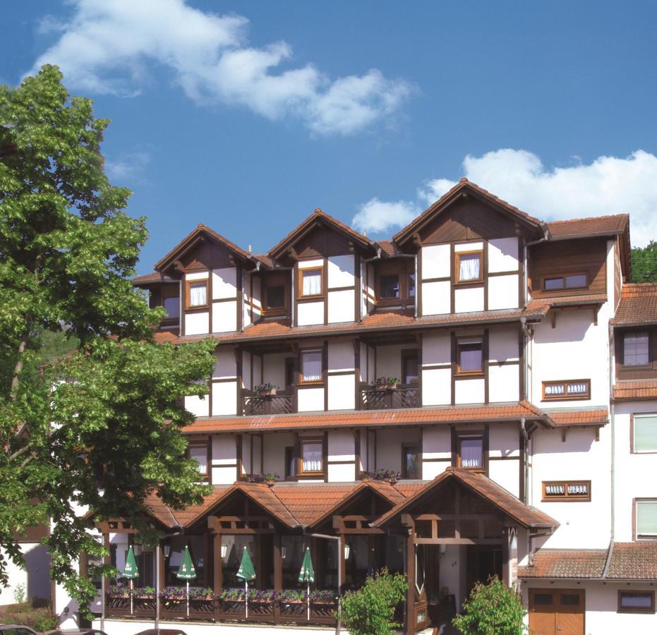 Hotel Blick Zum Maimont Ludwigswinkel Exterior foto